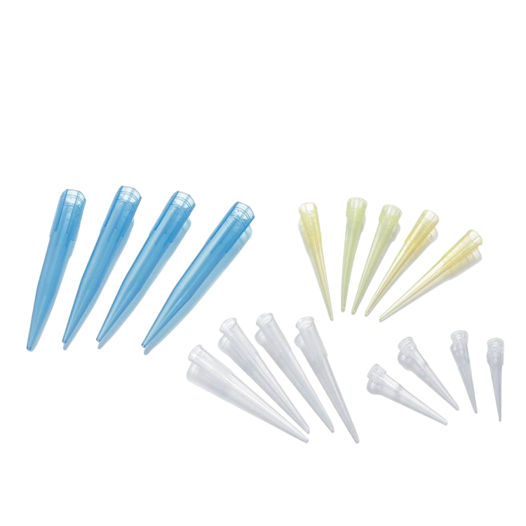 Puntillas para Micropipeta miniatura 3