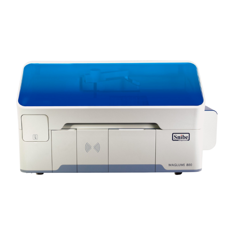 Maglumi 800 miniatura 2
